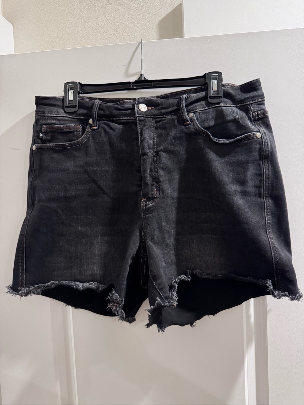 Judy Blue Black Frayed Hem Denim Cutoff Shorts